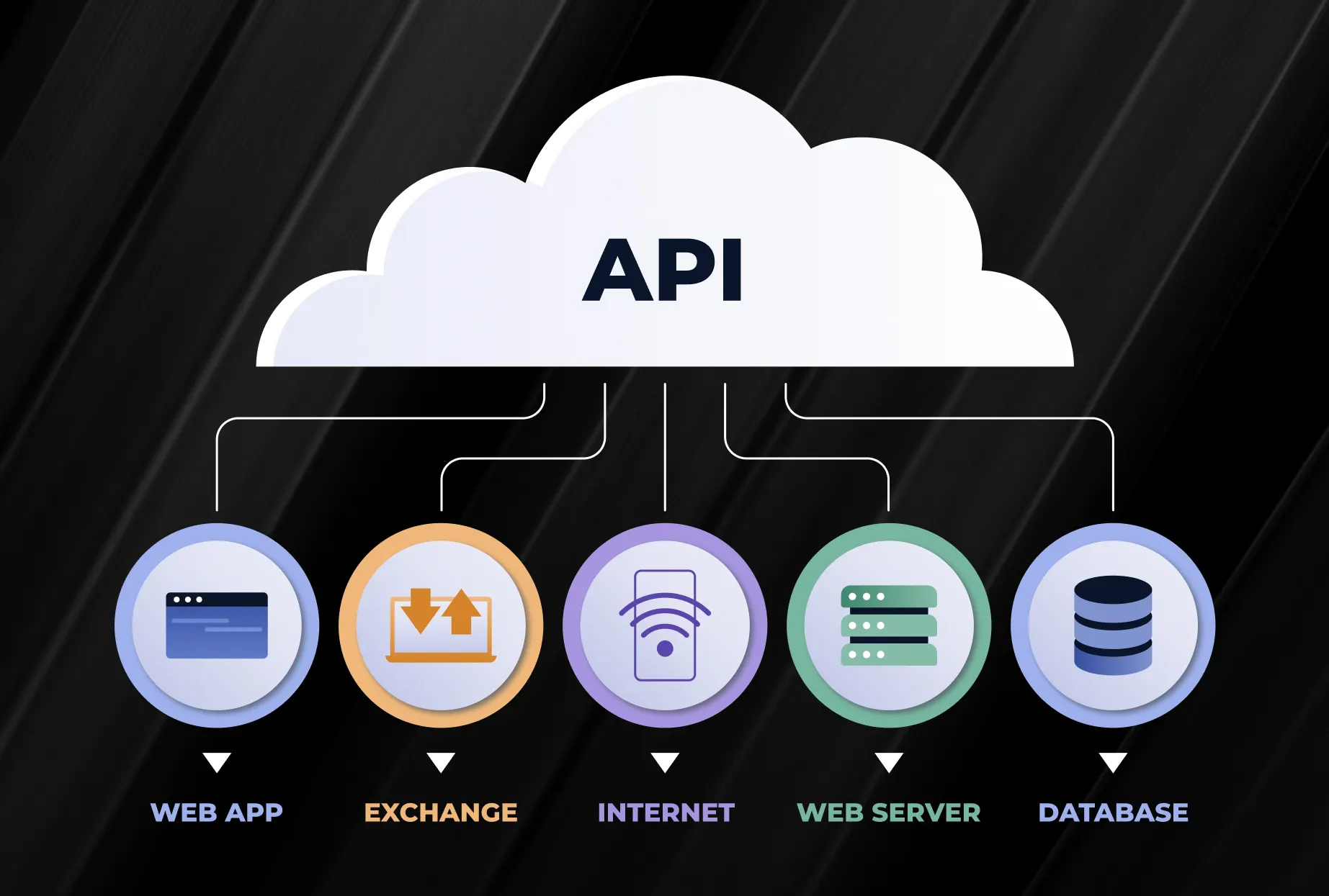 The Best API Tools for Building and Testing Modern Applications